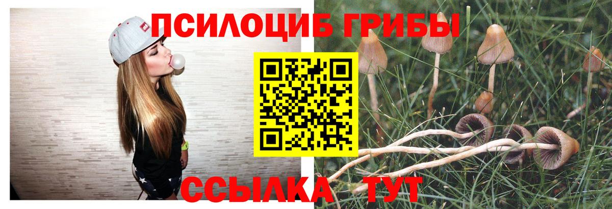 Псилоцибиновые грибы прущие грибы Россия