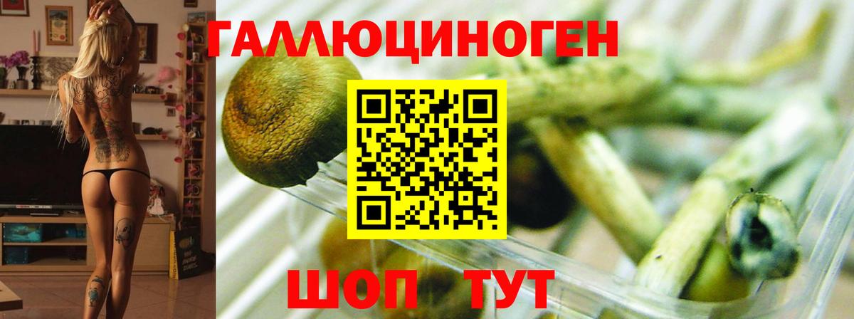 Галлюциногенные грибы Cubensis  Вход с VPN  Россия  Псилоцибиновые грибы Magic Shrooms 