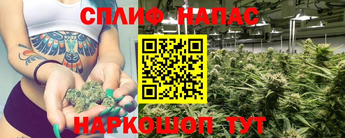 Каннабис OG Kush  Вход с VPN  Бошки Шишки семена  Бошки Шишки сатива  Бошки Шишки MAZAR  Россия 